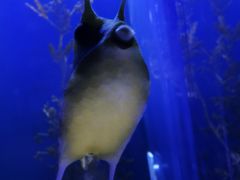 -波塞冬海底世界