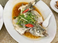 清蒸海鲈-金福海酒家