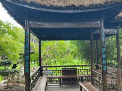 -上海醉白池公园