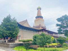 -张掖大佛寺景区