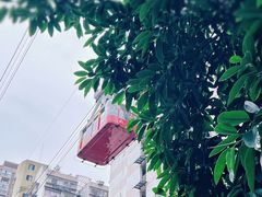 -长江索道景区