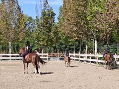 -北京群众马术培训基地