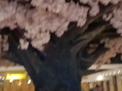 -御圣弛(红豆广场店)