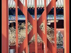 -北京市府学胡同小学