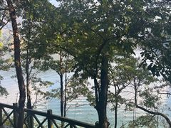 -广州市流溪河国家森林公园