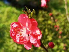 -常德桃花源景区