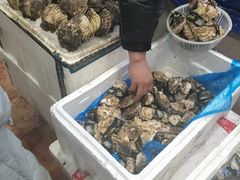 -胶东海鲜大排档(北太平庄店)