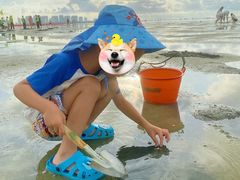 -北海金海湾红树林生态旅游区