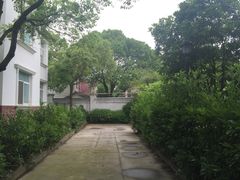 大光明DFC影城(三林店)-幸福蓝海国际影城(上海三林店)