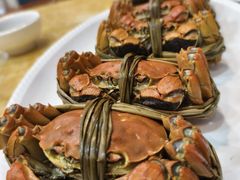 -北海港酒楼 海鲜代加工 粤菜(淡村商贸城店)