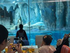 -帝企鹅自助餐厅•儿童岛•真企鹅(长隆企鹅酒店)