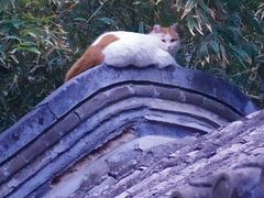 -颐和园