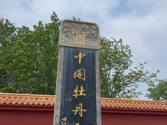 -曹州百花园