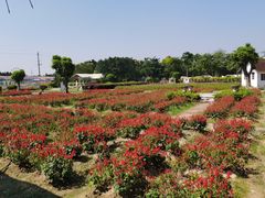-广东花都香草世界旅游度假区