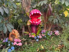 -沈阳植物园