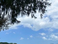 -白城沙滩