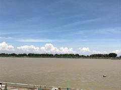 -大湾区中央湿地公园-十九涌