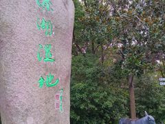 -溱湖国家湿地公园