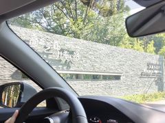 -马陆小张葡萄园农家乐