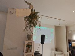 -春树下·树屋花房西餐厅(罍街AS1980店)