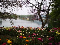 -东平国家森林公园