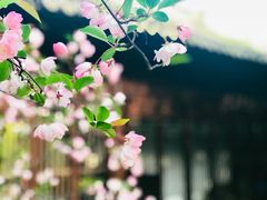 -一縷炊煙(南长街店)