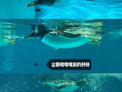 -正佳极地海洋世界