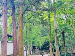 -白鹿洞书院
