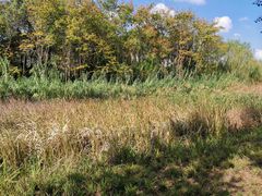 -昆山城市生态森林公园