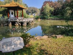 -太湖饭店玉兰厅(自助餐厅)