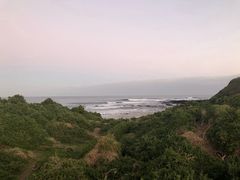 -企鹅岛