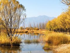 -野鸭湖国家湿地公园