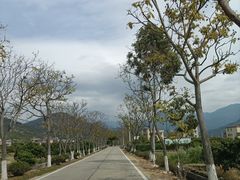 -广州市石门国家森林公园