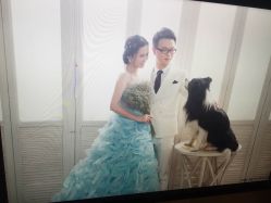 点击看大图 -太郎花子婚纱摄影艺术中心