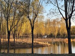 -东郊湿地公园