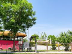 -爪吧宠物乐园 (温榆河示范区店)