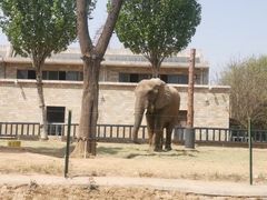 -石家庄市动物园