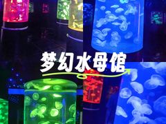 -萌宠奇缘(荣鼎店)