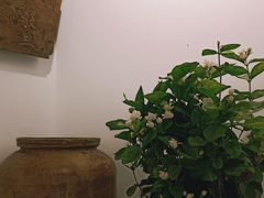 -甜心闲生传统手工冰粉(奎星楼店)