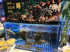-川骄海鲜自助(河东店)