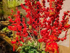 -双季花艺园艺市场(浦东店)