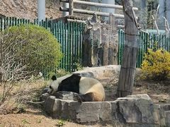 -大连森林动物园