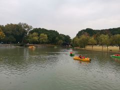 -上海方塔园
