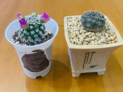 -Rabbit Cafe私房西餐甜点咖啡(栖霞路店)