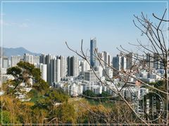 -乌山风景区