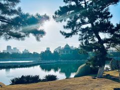 -莫内艺术岛海景咖啡