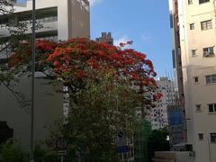 门面-香港大学