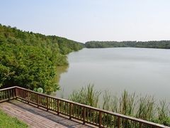 -大湾区中央湿地公园