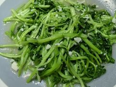 -鸽子窝(青塔店)