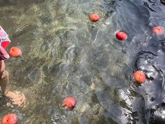 -深业半汤御泉庄温泉